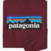 T-shirt Patagonia Men L/S P6 Logo Responsibili-Tee Sequoia Red -The North Kleding Winkel 1 p620sequoia20red20patagonia