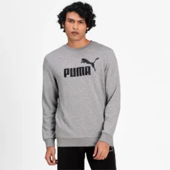 Trui Puma Men Essentials Big Logo Crew Gray -The North Kleding Winkel 5 pumapum 586680 03modelshot01