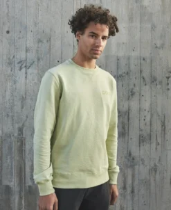 Trui POC Men Crew Prehnite Green 10 Trui POC Men Crew Prehnite Green -The North Kleding Winkel 61531 1447 3