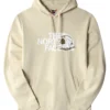 Trui The North Face Men Graphic Half Dome Hoodie Gravel -The North Kleding Winkel 7R3C3X4 1