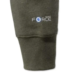 Trui Carhartt Men Delmont Graphic Hooded Sweatshirt Moss Heather -The North Kleding Winkel EU 103873 387 D1